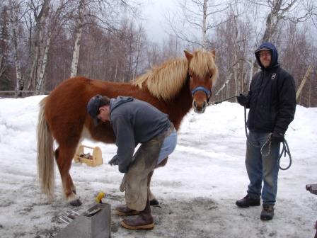  Raudi with Joshua the ferrier